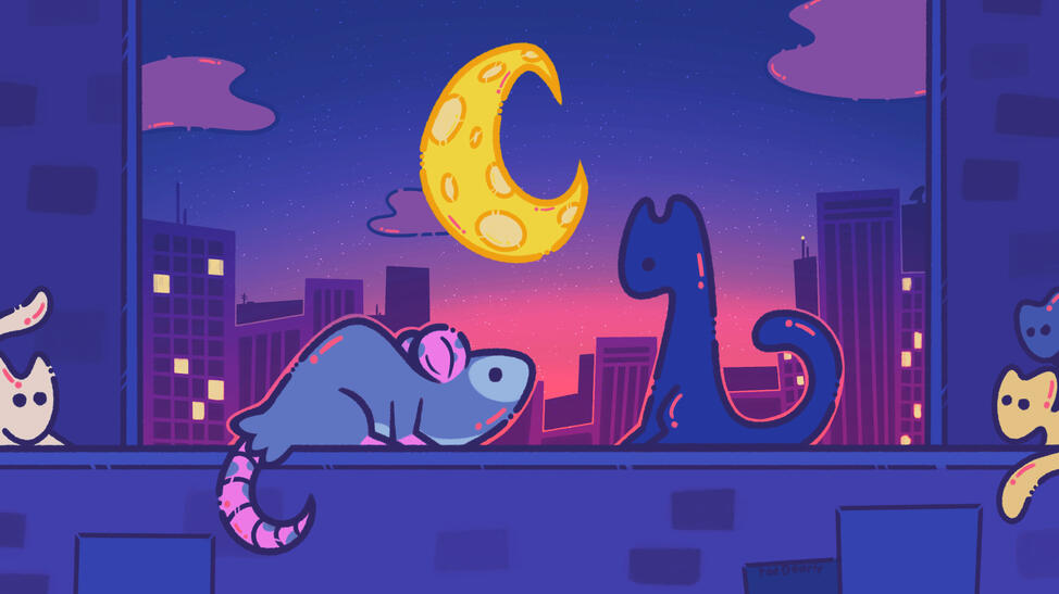 Opossum meets Cat